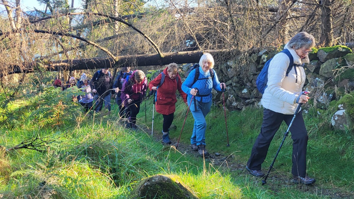 T&aacute;in Trail