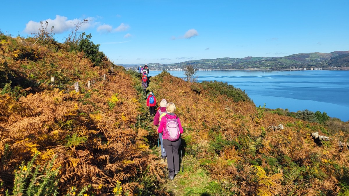 T&aacute;in Trail