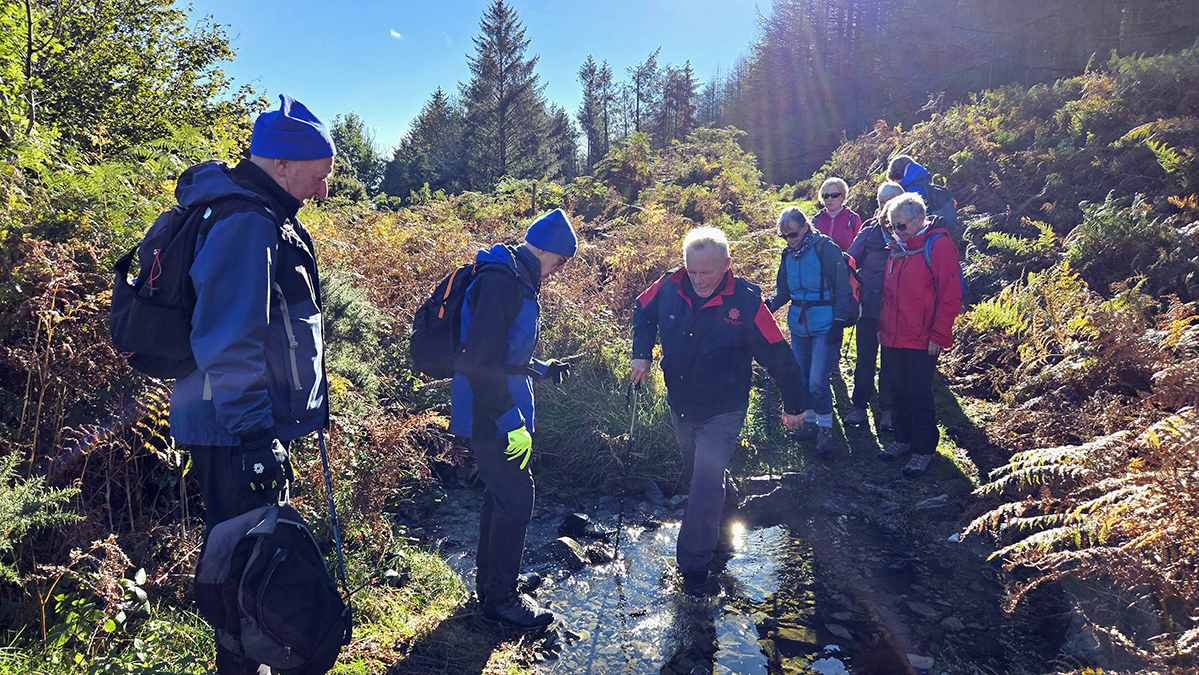 T&aacute;in Trail