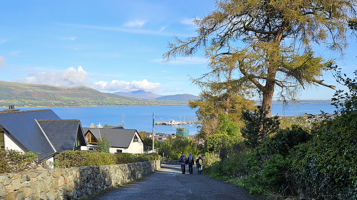 T&aacute;in Trail