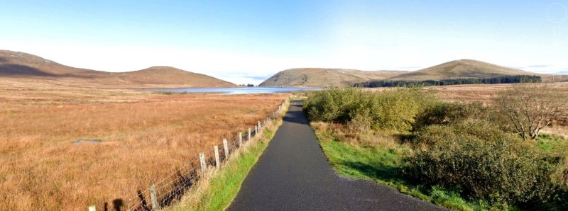 Deers Meadow