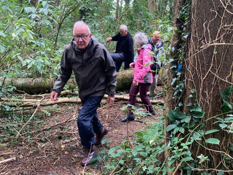 Hillsborough Forest