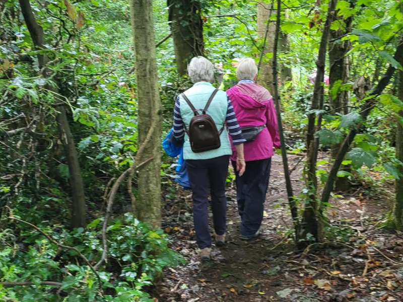 Hillsborough Forest