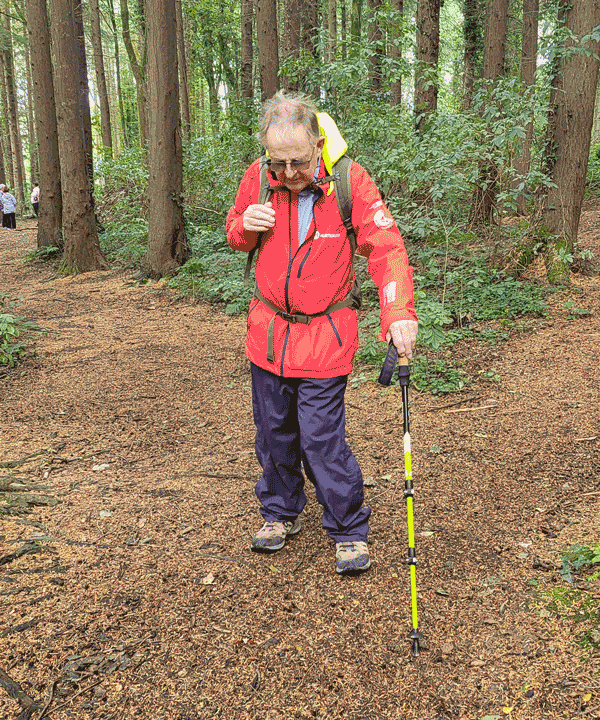 Hillsborough Forest