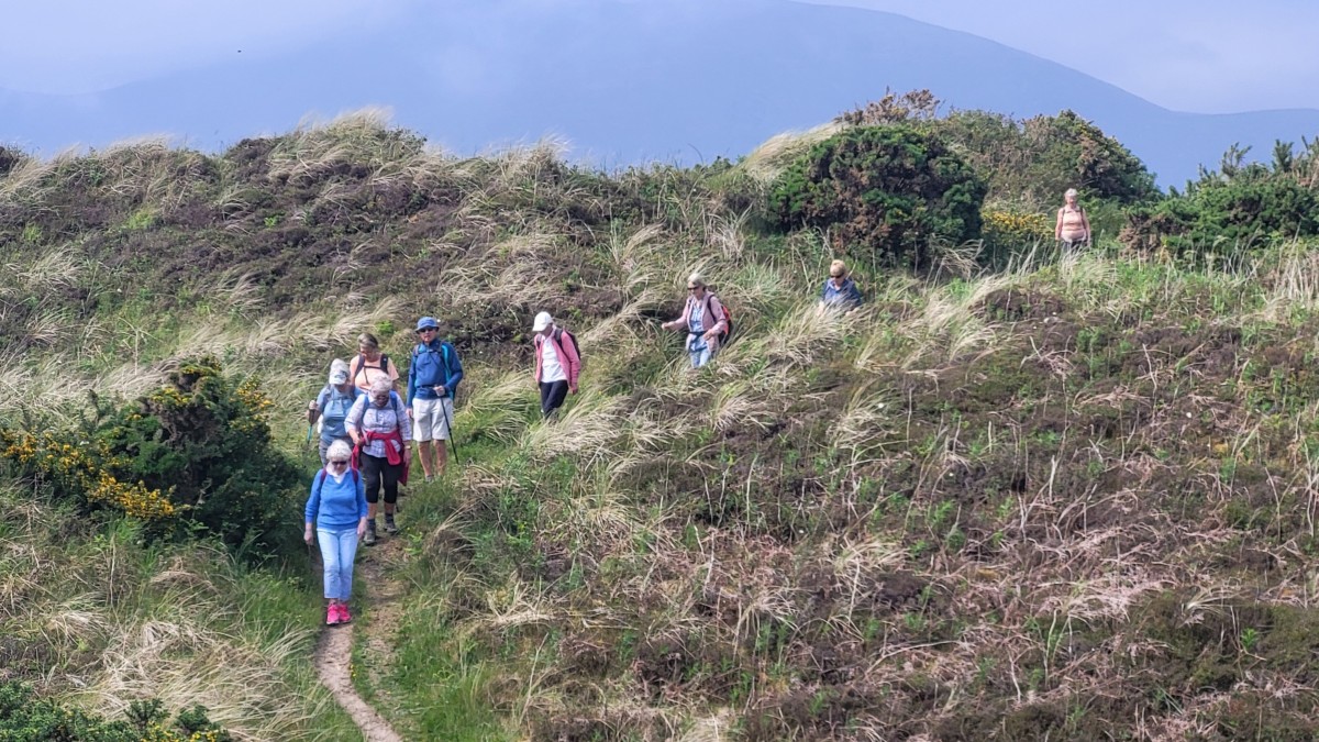 Murlough