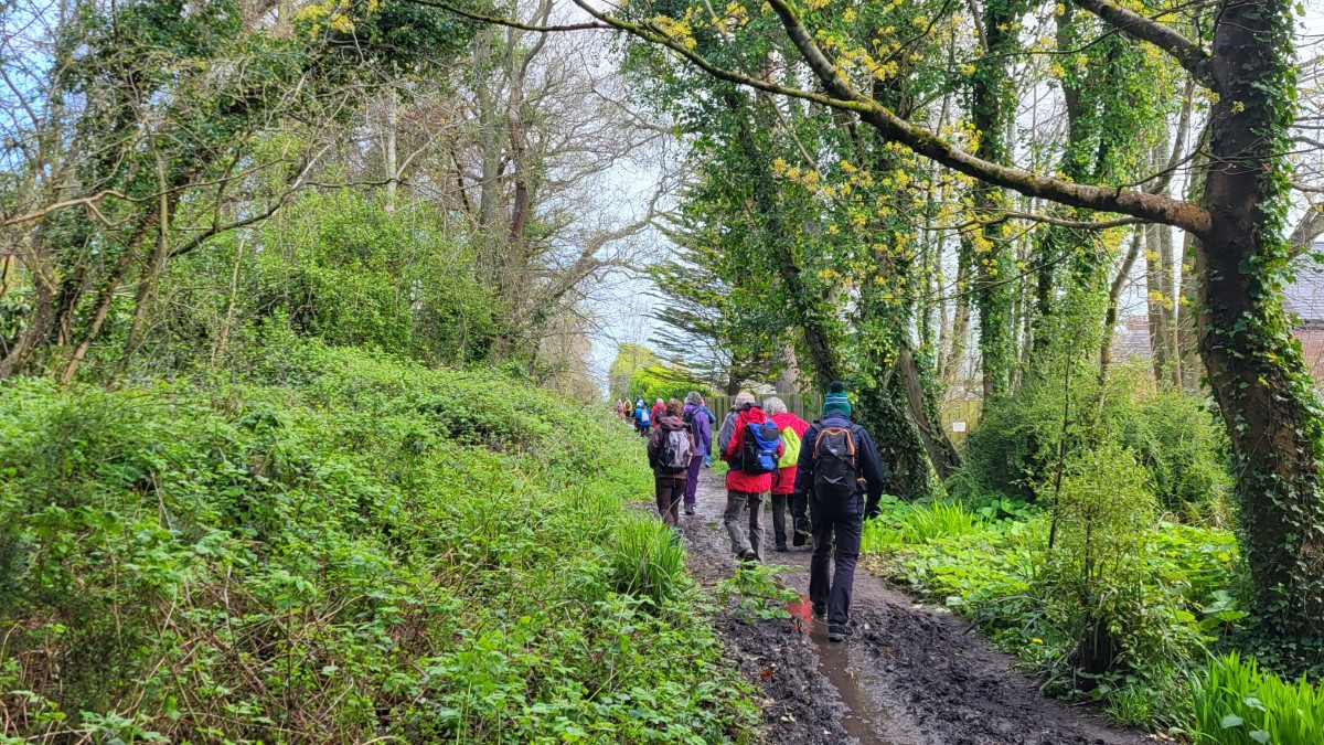 North Down Coastal Path