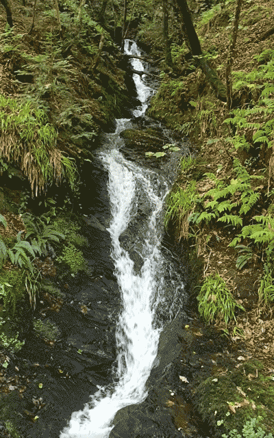 Waterfall