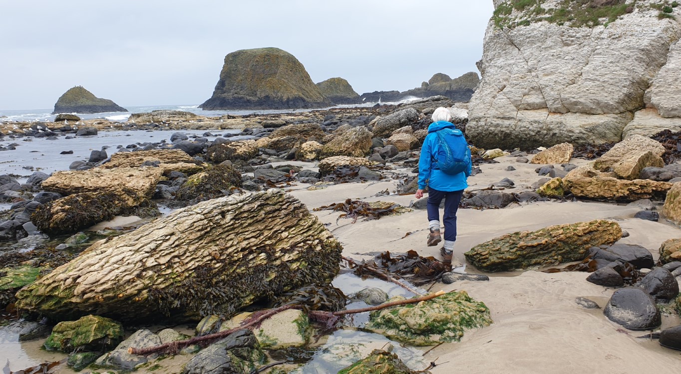 Causeway Coast
