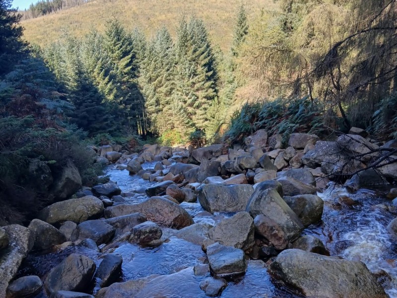 Roosley