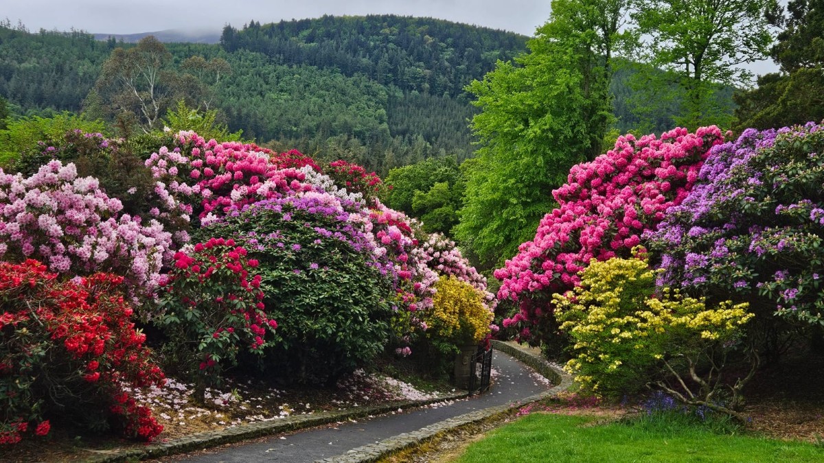 Tollymore