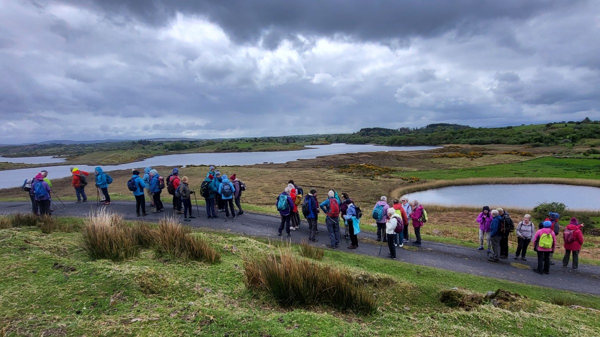 Lettermaghera
