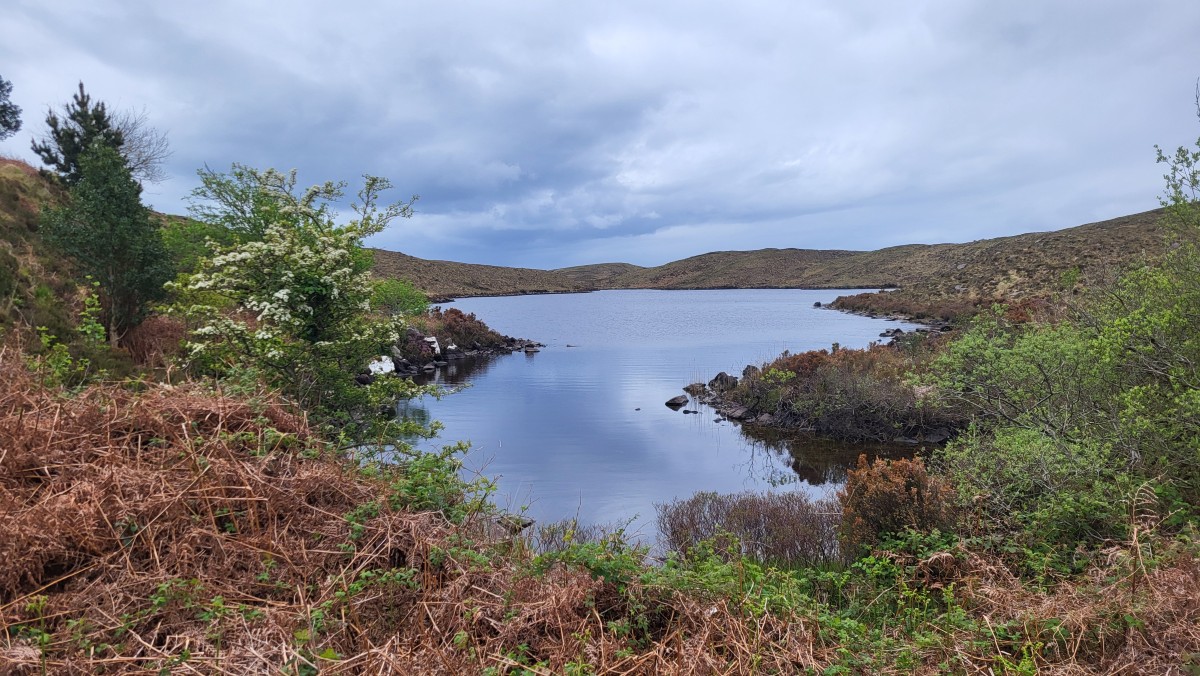Lettermaghera