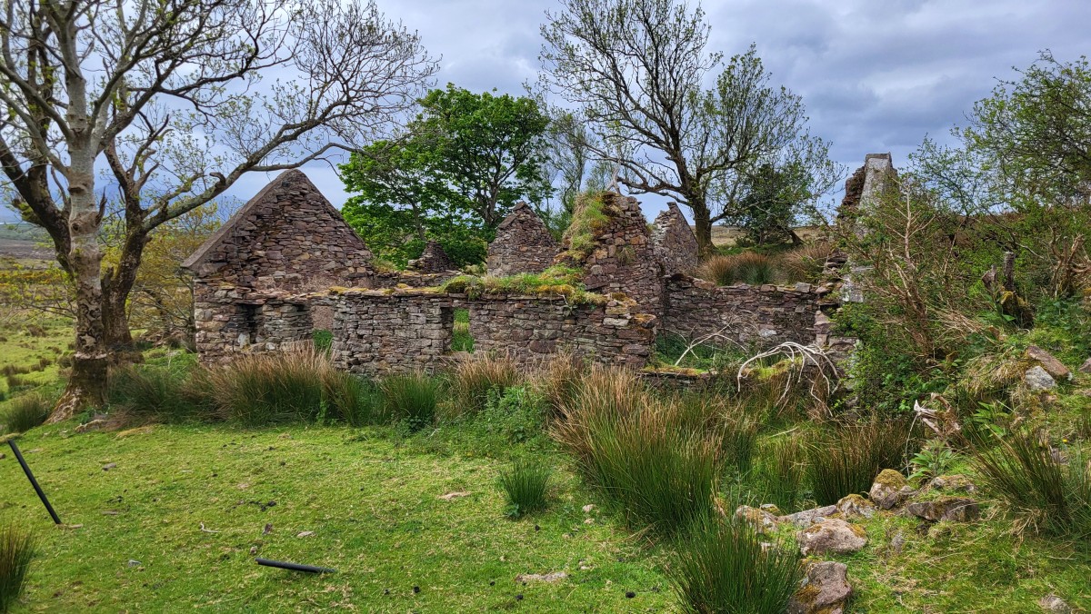 Lettermaghera