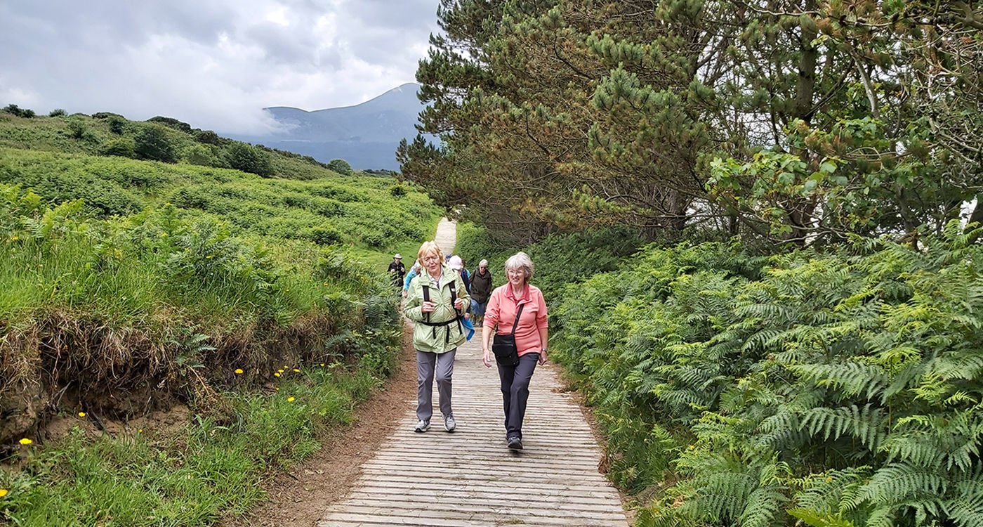 Murlough - 02 July 2020